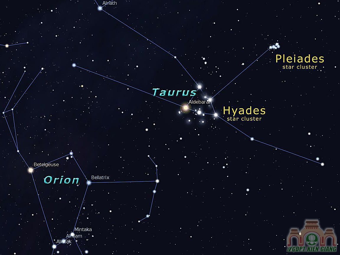 Taurus
