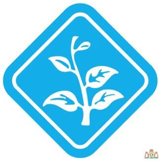 Ngành Thiếu: bậc Chánh Thiện