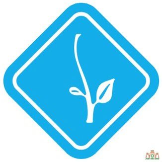 Ngành Thiếu: bậc Hướng Thiện