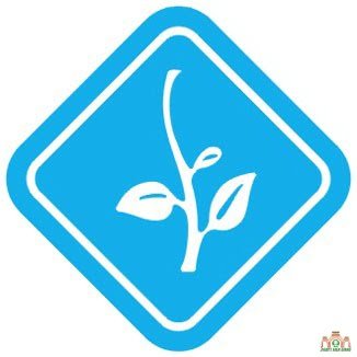 Ngành Thiếu: bậc Sơ Thiện