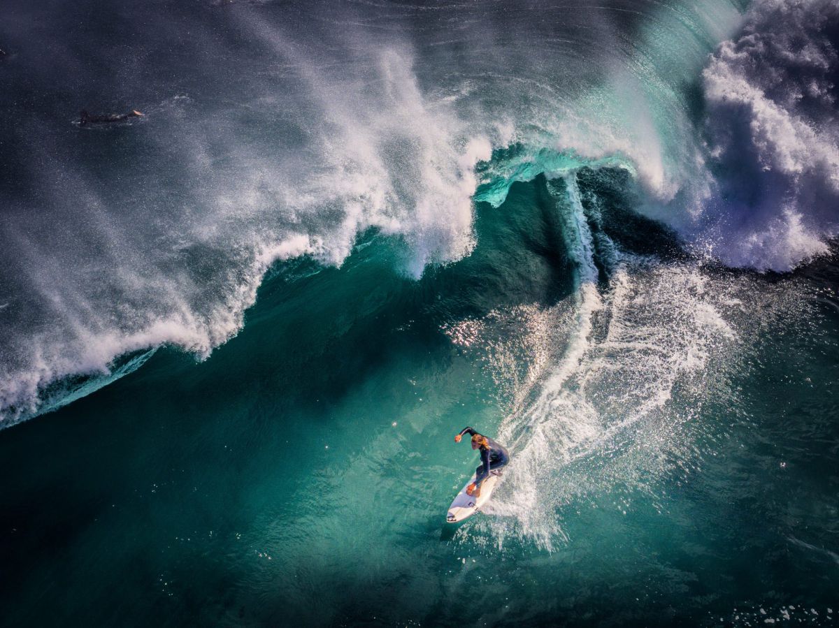 Margaret river surfing (lướt sóng trên sông Margaret) - tác giả: shaneri...