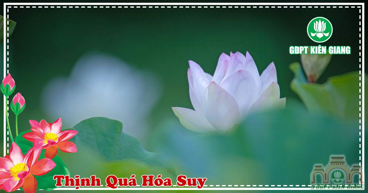 Thinh Qua Hoa Suy 3