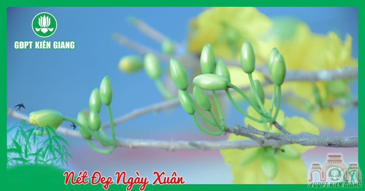 Net Dep Ngay Xuan 2