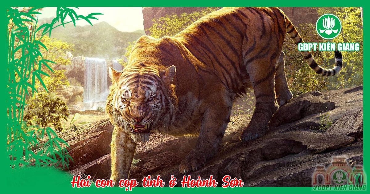 Hai Con Cop Tinh O Hoanh Son 1