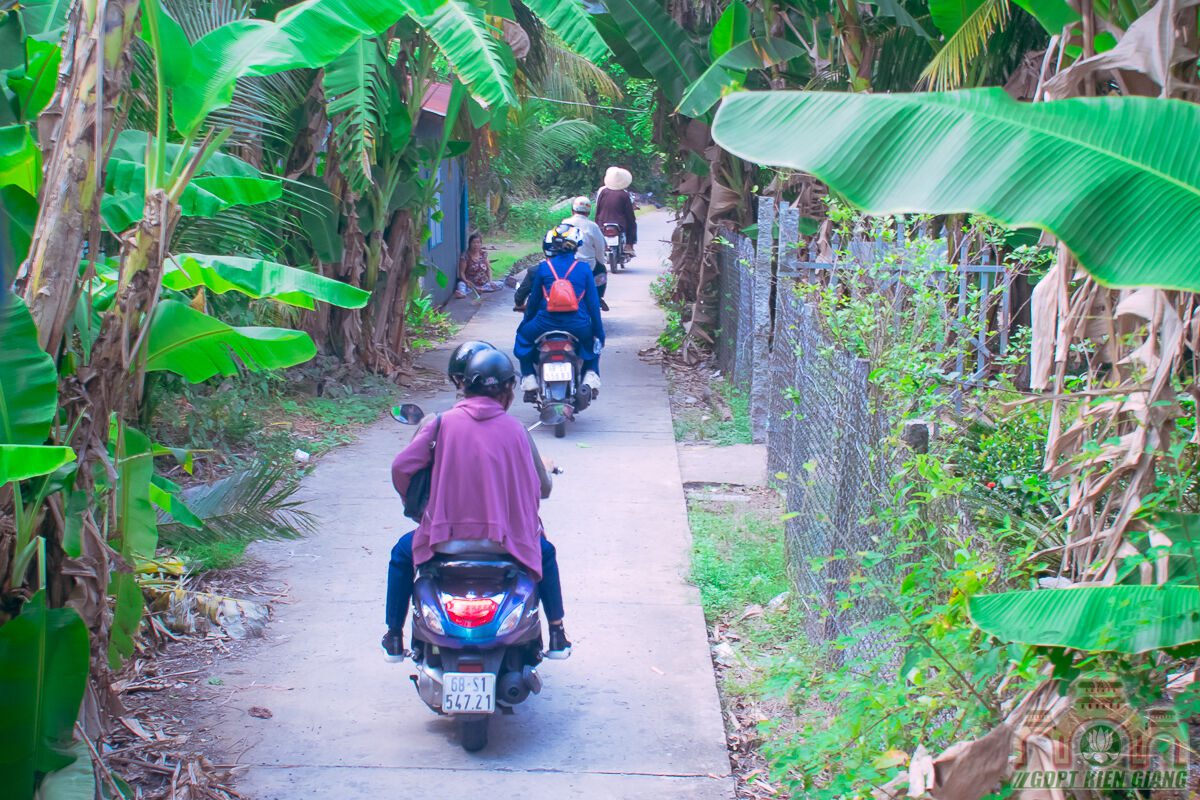 Phan Ban Gdpt Kien Giang Khoi Dong Trai Luc Hoa 13 13