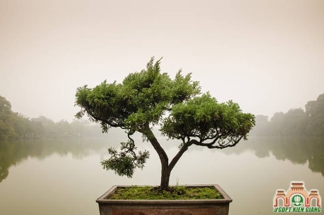 1671947 inline shutterstock 123352936