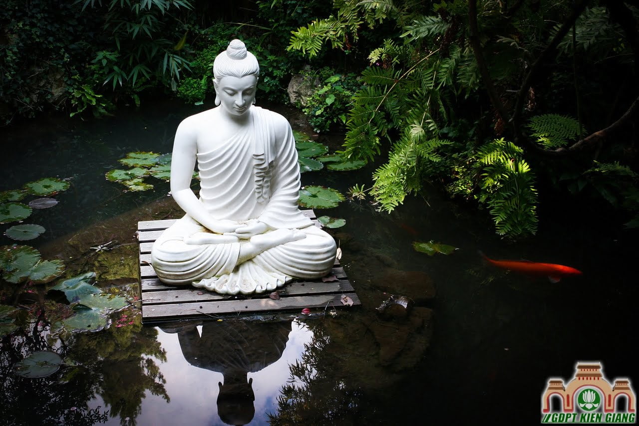 Buddha Reflection X2