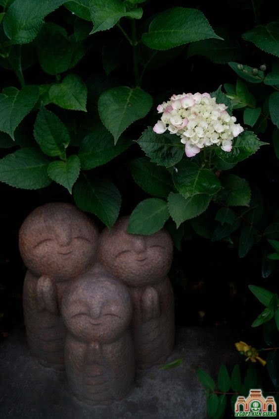 jizo