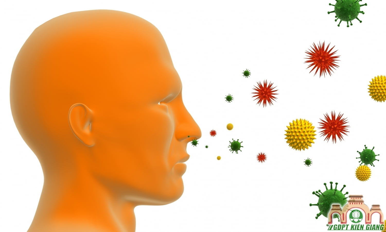 allergy