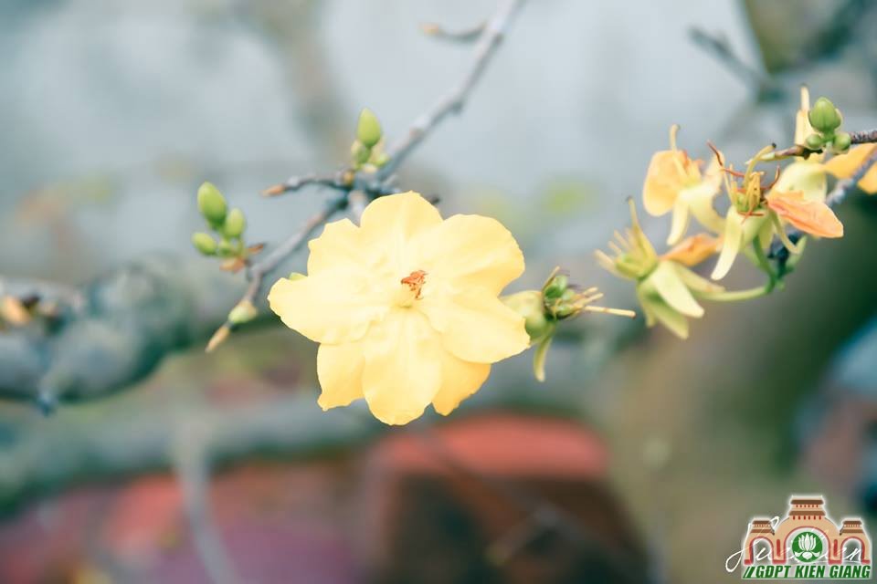Một Ngày Vui