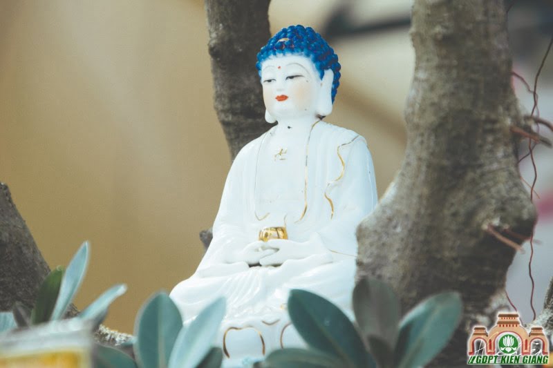 thoxuan 08