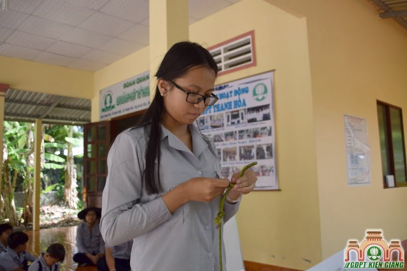 Khảo sát Đơn Vị Vững Mạnh tại GĐPT Thanh Hòa (TX Hà Tiên)