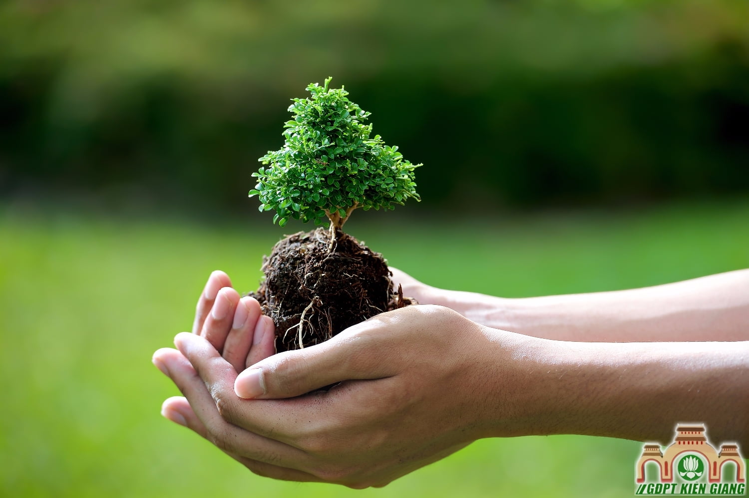 Ăn chay bảo vệ môi trường sinh thái