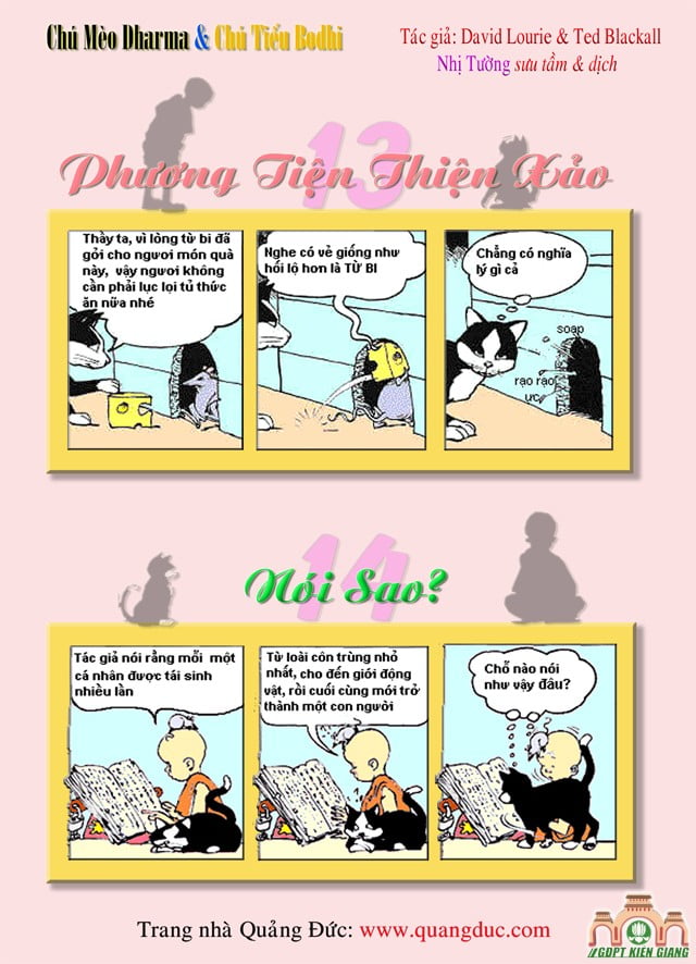 dharmacat 13 14